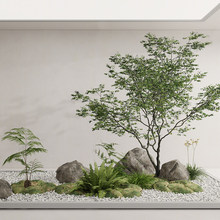 �߶��҃ȴ��ͷ���Gɫֲ���쾰�uצ�ʲ��ҙ������^�������쾰�b�