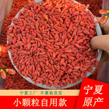 宁夏2024头茬新货泡茶小颗粒红枸杞子宁夏中宁一件低价代发现货批