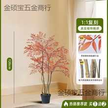 �й��L����Gֲ������tɫ�߶��p���҃��ҕ�����b���ؔ[������