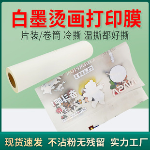 Thermal transfer A3/A4 Hot Stamping film PET transparent printing film offset hot stamping release film Cold tear hot tear transfer film