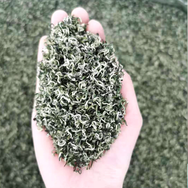 2026 New Tea from Yaan, Sichuan, High Mountain Cloud Green Tea, Mengding Mountain Mao Feng Fragrant Tea, Loose Leaf Tea, Biluochun