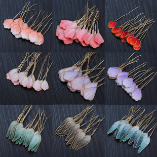 ���q��������~�z1.0�����L���ֹ����z�Q�z�q��Ƭ���ƷDIY����