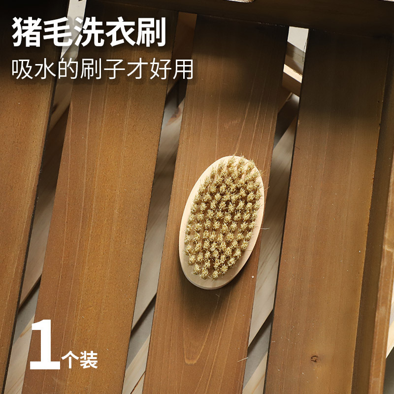 돼지 머리 단단한 나무 세탁 브러시 (타원형)