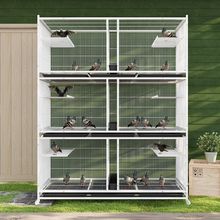 䌦\Bֳ\ӷSֳ҃ⷱӻ\