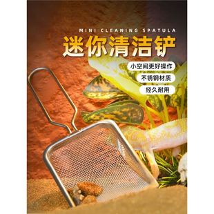 ������B���坍�P���x���ò��P�©ɳ�P���x�}ɳ�����،m�S������