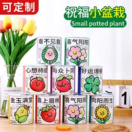 圣诞装饰品;节庆用品;其他圣诞用品