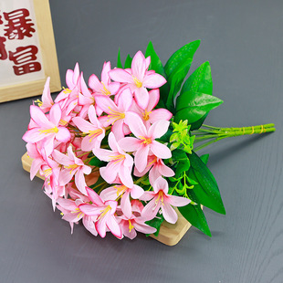 ���l����ٻ�Ұ�ٺ�ˮ���m���Ҿ��b[�Ź��̻��͏d�����Ƶ�[��