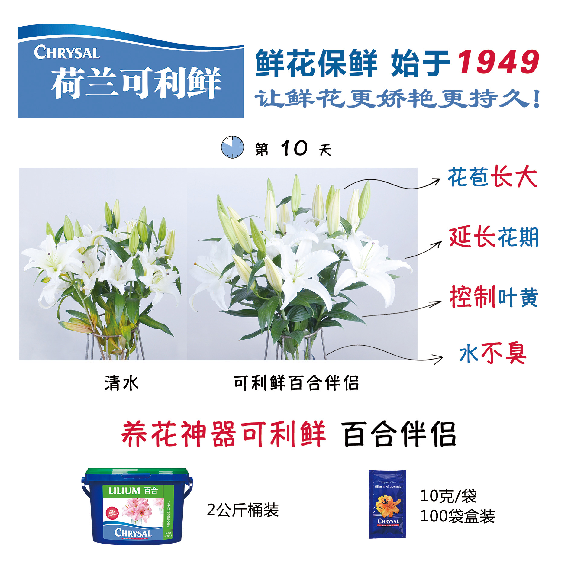 c041b0543278105d60dc1e425b2941