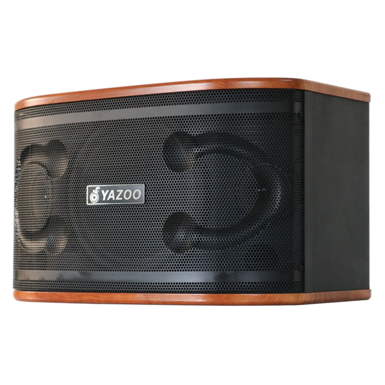 Al por mayor personalizado 8/10/12-pulgadas pasivo profesional titular de la tarjeta altavoz hogar al aire libre karaoke transmisión en vivo audio para el hogar traje