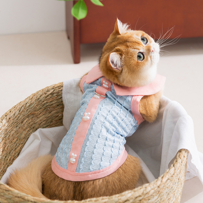 Gato primavera verano jacquard tejido polo cuello contraste color chaleco de dos patas perro pequeño y mediano perro peluche ropa para mascotas