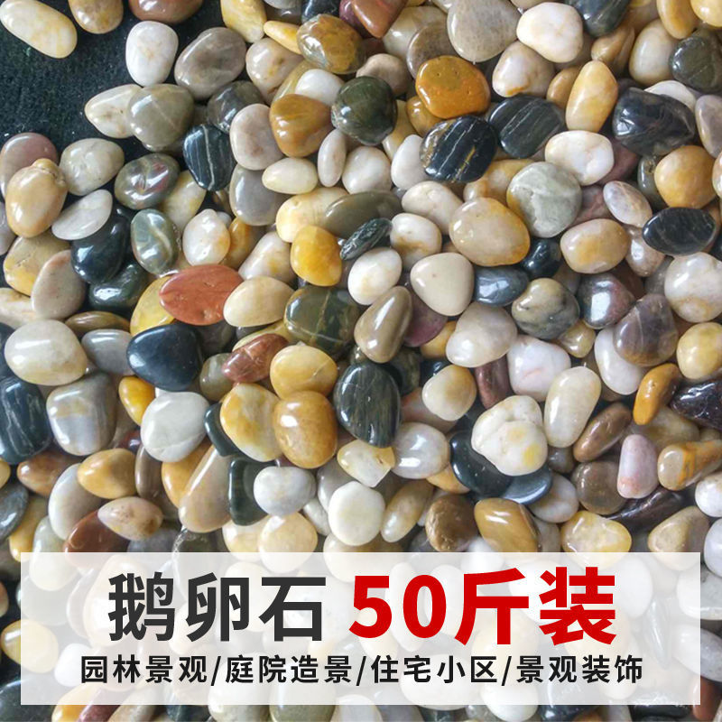 碎石批发50斤鹅卵石铺路铺地庭院石子园林石头雨花石原石大鹅暖石|ms