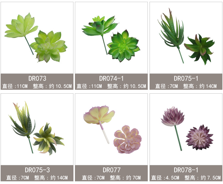 新单枝模板60-90_06