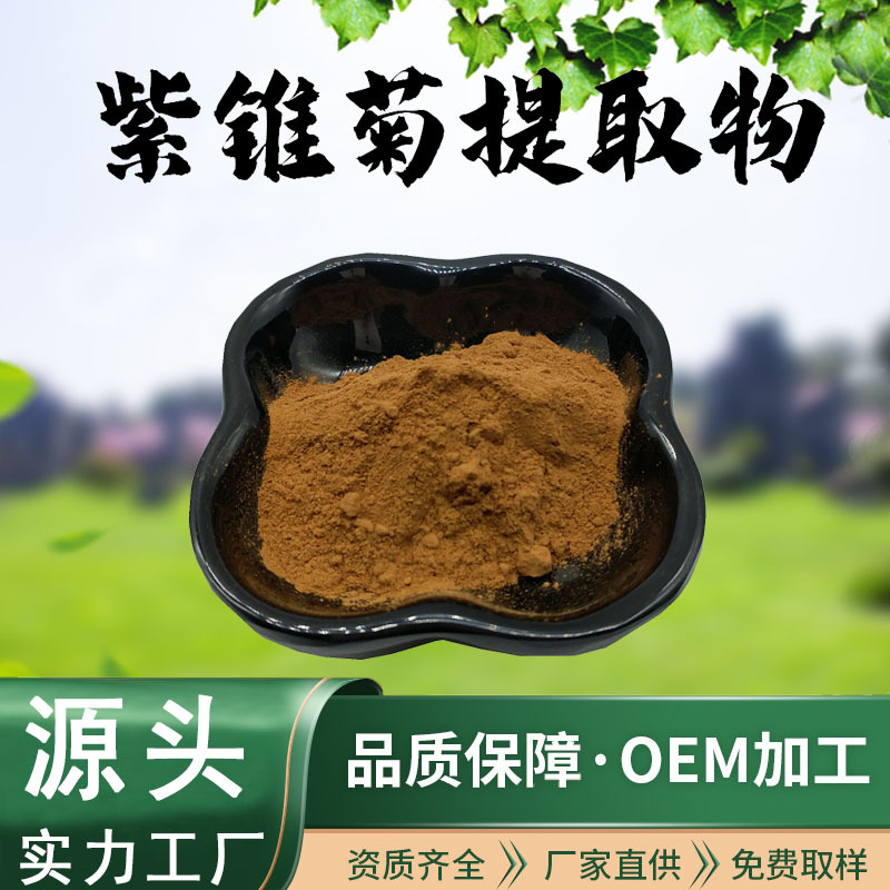 紫锥菊提取物10:1水溶性粉末药食同源植物萃取食品级原料现货
