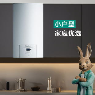Germany's new gas wall-mounted boiler natural gas heating household floor heating boiler economic heating furnace turboMINI