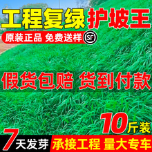 �o�²��ѷ�ˮ����ʧ�ļ�����߅�²�ƺ�N���͟��ͺ��Ͳ�̤��Ƥ�N��