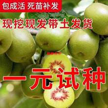 �J���Ҙ����t��ܛ���J����������޽��ϱ����NֲͥԺˮ�������