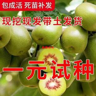 �J���Ҙ����t��ܛ���J����������޽��ϱ����NֲͥԺˮ�������