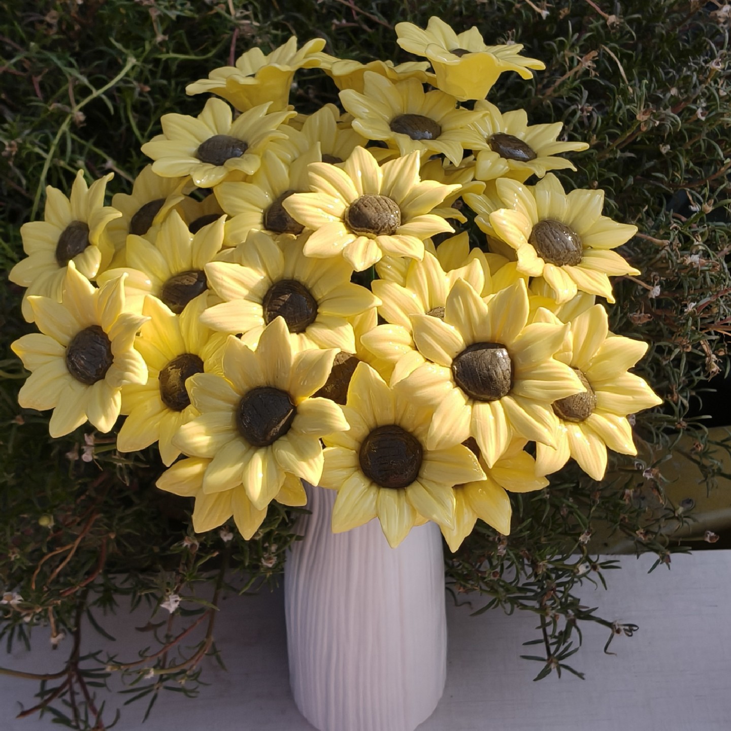 B00021A7A19F08555305CF3478DD14