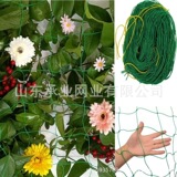 Крест -болотный завод посадка на посадку сетки садового платья поддержка квадратная сеть.