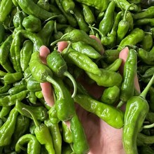 ��ԭ�a�ء�5����ɿh���������r����������ɗ��䱡Ƥ����1��