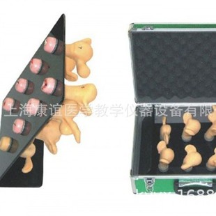 Kay-Fz Advanced Uterine Cervical Lesion Model (8 Pieces) Obstetrics and Gynecology Examination Model Cervical Pathology Model