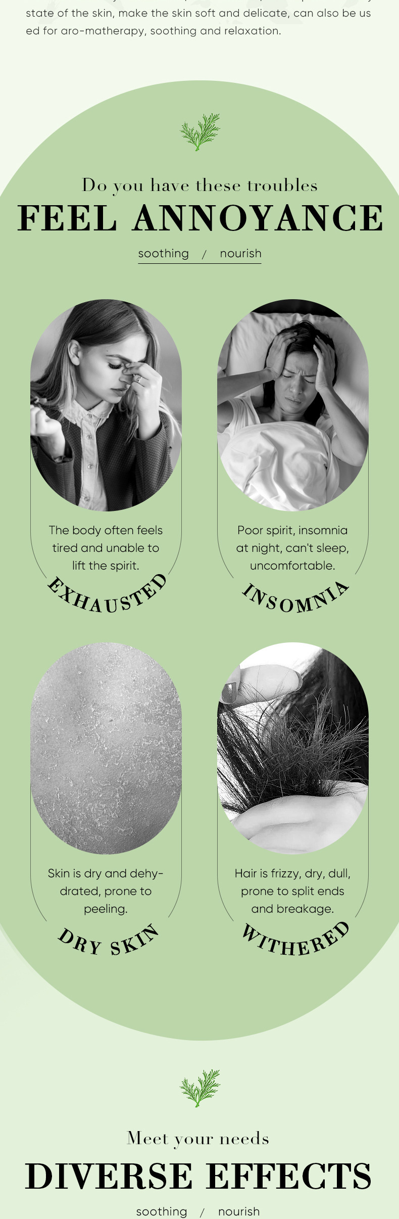 Essential Oil Vocabulary Words/Name Plant Personal Care Skin Care display picture 8