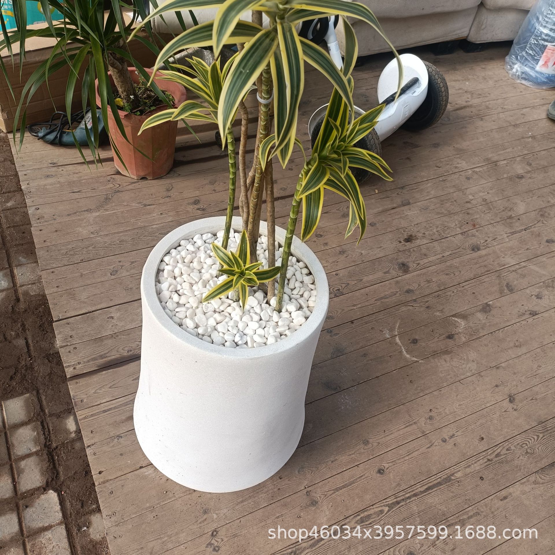 白色鹅卵石枯山水多肉植物盆栽鱼缸水池垫底白石子景观装饰石子