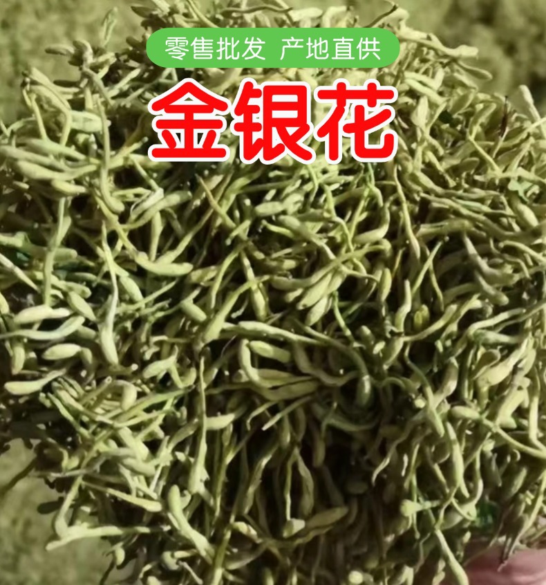 Dried Honeysuckle Flower Jin Yin Hua 500g Loose Herbal Tea Traditional Chinese Herbal Botanicals overview