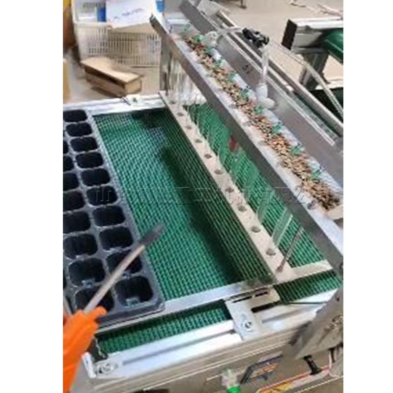 Bandeja de enchufe automática máquina de plántulas bandeja de enchufe vegetal sembradora de plántulas placa flotante agrícola que cubre el agujero del suelo presionando la máquina todo en uno image 5