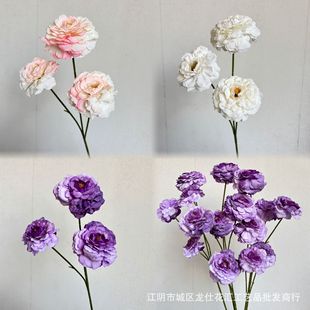 �\��ĵ�����滨�Ļ�c�b��üٻ��ҾӔ[���廨��Y��ˇ·���껨