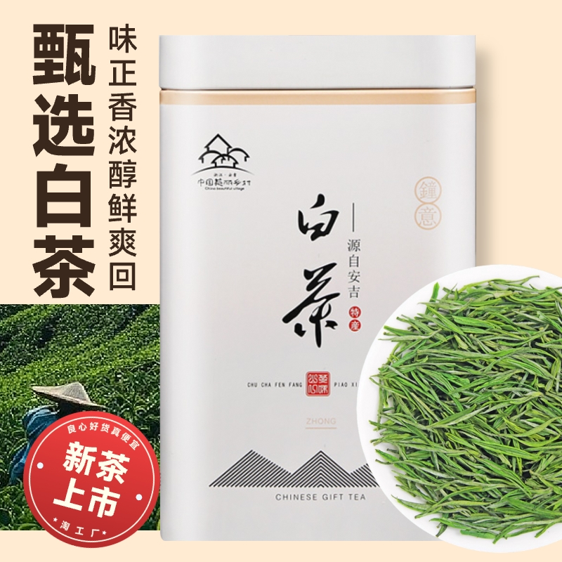 白茶安吉高山5年新茶礼盒装绿茶明前茶叶自己喝