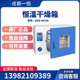 上海一恒DHG系列DHG-9075A恒温鼓风干燥箱烤箱实验室烘箱鼓风烘箱