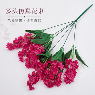 ����ǧ�B�m�ٻ�����c�zӰ�����҃��bGֲ��֦7�^�ٺϲ�ˮ�ɻ�