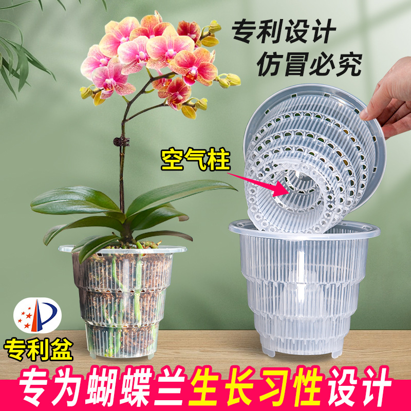 跨境美莳控根盆蝴蝶兰花盆水苔透明青山透气树脂塑料盆硬植杯批发