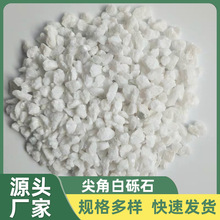 海口厂家批发天然白色砾石碎石水磨石园林庭院装饰铺设水族造景石