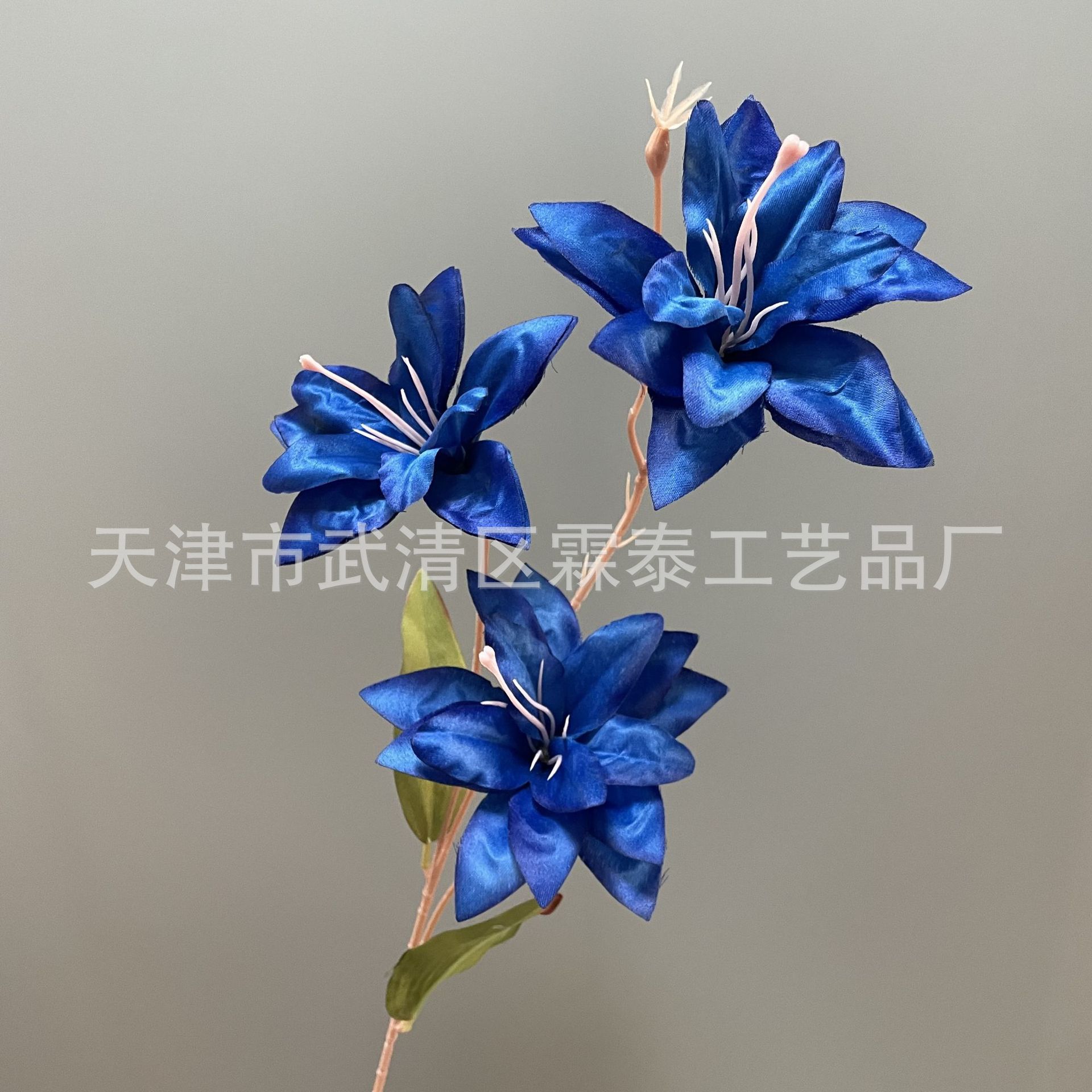 사파이어 블루