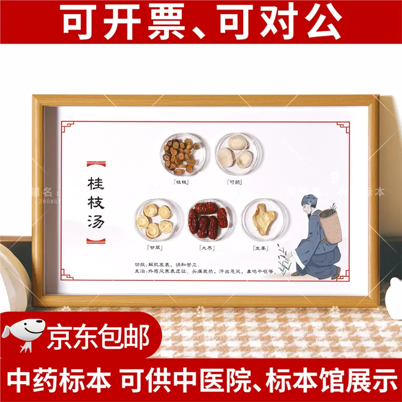 精装方剂标本中药标本展示墙中药材标本装饰画中医标本展示用