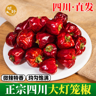 ���\������������500g�����Ĵ���t�������������偲�����l����