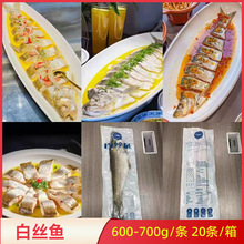 白丝鱼白刁鱼酒店特色菜整箱20条清蒸白丝鱼大白鱼腌制半成品商用