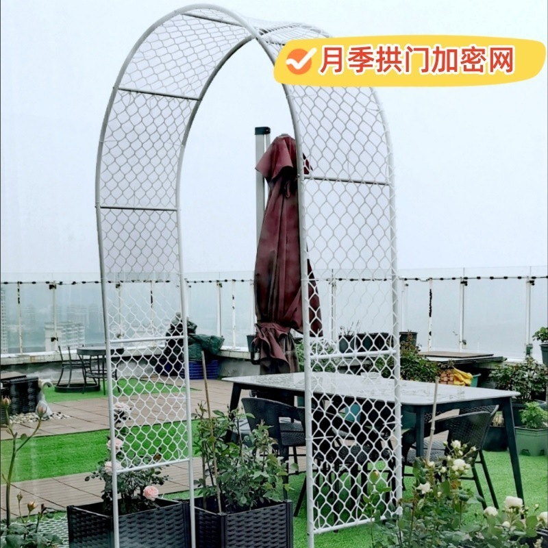 Planta enredadera verde eneldo red de pared superior plástico hombre enredadera red enredadera enredadera flor rosa decoración jardinería pared tortuga