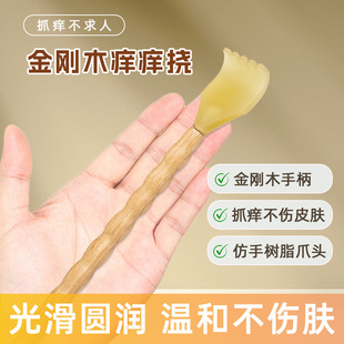 �S��ֱ�N�¿�W�W��ľ�ƓϰW���ӓưW����ץ����ľ�����˓���s