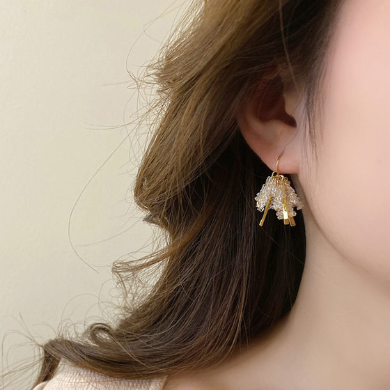 Design Sense Crystal Metal Tassel Earrings Female Niche Vintage Personality Simple Fashion Elegant All-match Earrings Earrings