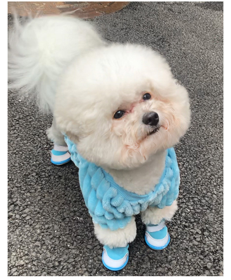 Pet Outfit 4