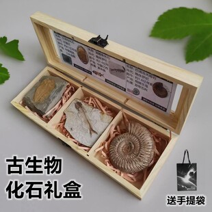 ��Ȼ�������~���~�x��ʯ���~����ʯ�˱��׺Ѓ�ͯ�����ղضY��[��