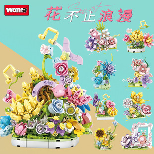 ���R�eľ�������Z�������L��ܲ6Ů����ϵ��ƴ�b��� �[�����նY��