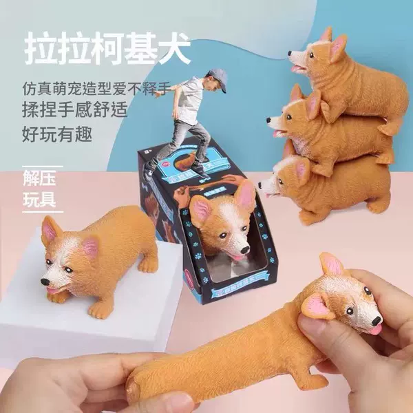 Corgi