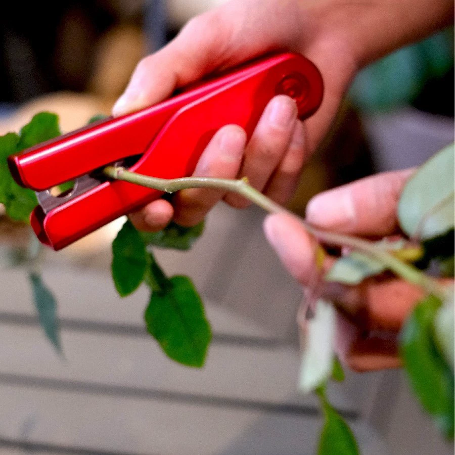 Плоскогубцы плоскогубцы для шипов розы Пластиковые цветок розы цветок грязи плоскогубцы для удаления шипов зажим для сокровищ бытовой стиль интернет-знаменитостей