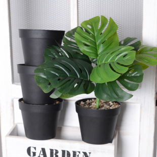 ���ϻ���Ӻ���H�� ���Ϸ��մ���ĥɰ��ڏ��A�� ���l�S�����l