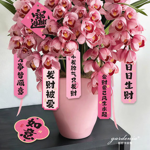 ������ؔ��ɫ�L�l���������ޥ�m�����m�������Gֲ�����b쿨