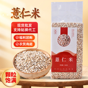�����F��޲����С޲�������lС���b�t��޲�ײ�����s�Z���ԭ��